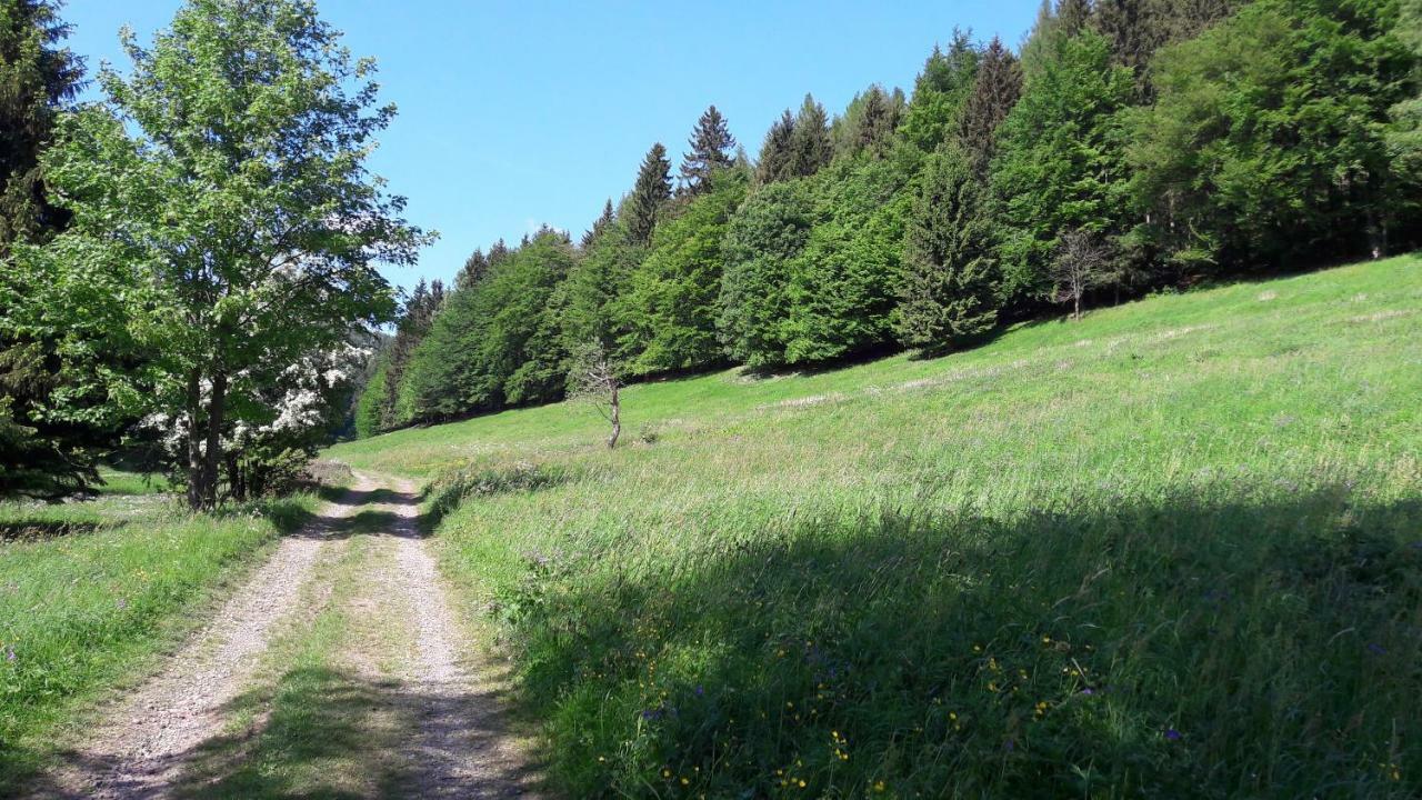 Ferienhaus Moosbachtal Thueringer Wald Bei Oberhof Rotterode Ngoại thất bức ảnh