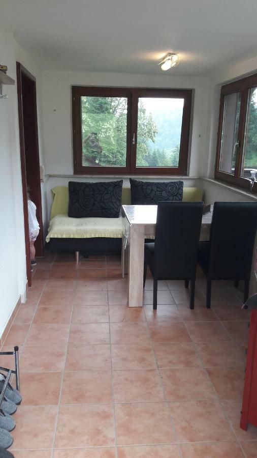 Ferienhaus Moosbachtal Thueringer Wald Bei Oberhof Rotterode Ngoại thất bức ảnh